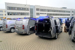 Przestrzeń pojazdu Toyota Proace przystosowana do przewozu psów