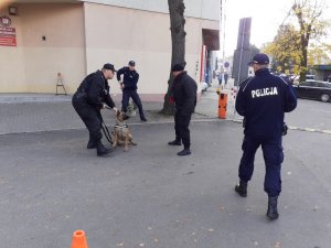 Policjanci w trakcie zatrzymania awanturującego się interesanta w trakcie ćwiczeń Cobra 2019