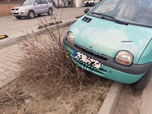 auto po wjeździe na chodnik