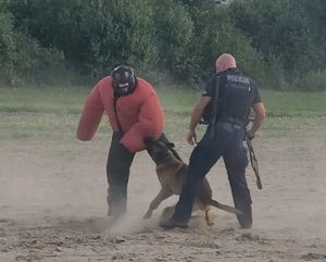 pies trzyma pozoranta zębami za rękaw