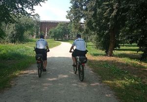 policjanci jadą rowerami alejką w parky