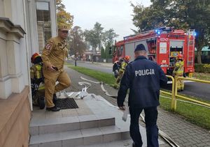 policjanci i strażacy wchodzą do szkoły