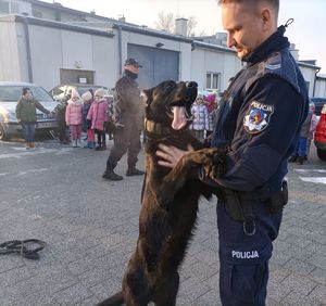 przewodnik trzyma psa za przednie łapy