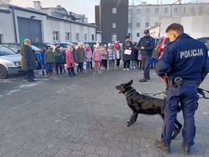 przewodnicy pokazują dzieciom psy