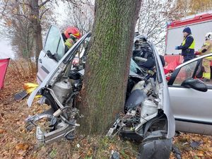 auto które uderzyło w drzewo