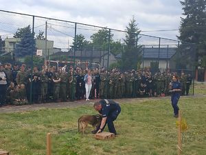 elementy pokazu psów, pies siada przy pudełku z narkotykami