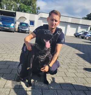 przewodnik kuca przy psie