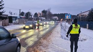 policjantka stoi na poboczu w tle ulica z jadącymi pojadami