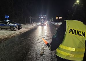 policjant w żółtej kamizelce a w tle poruszające się pojazdy