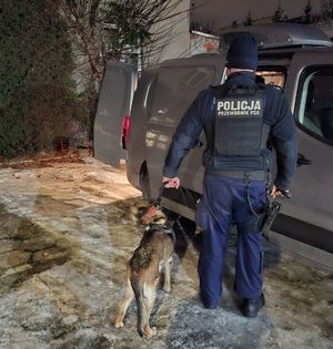 przewodnik stoi przy samochodzie z Lindą na smyczy