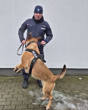 piesek skacze przy przewodniku