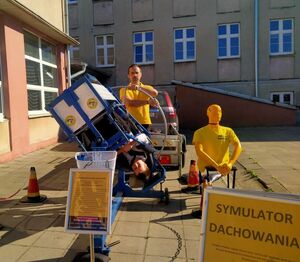 symulator dachowania